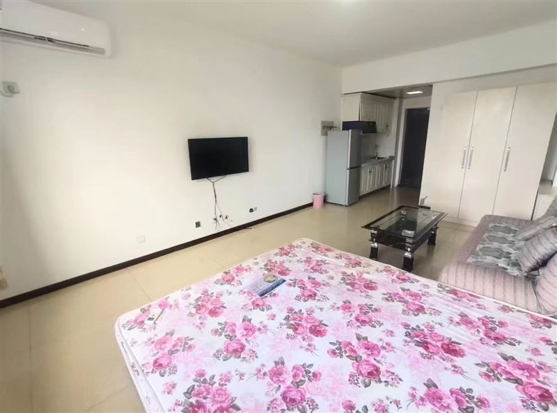 陽光水岸公寓出租