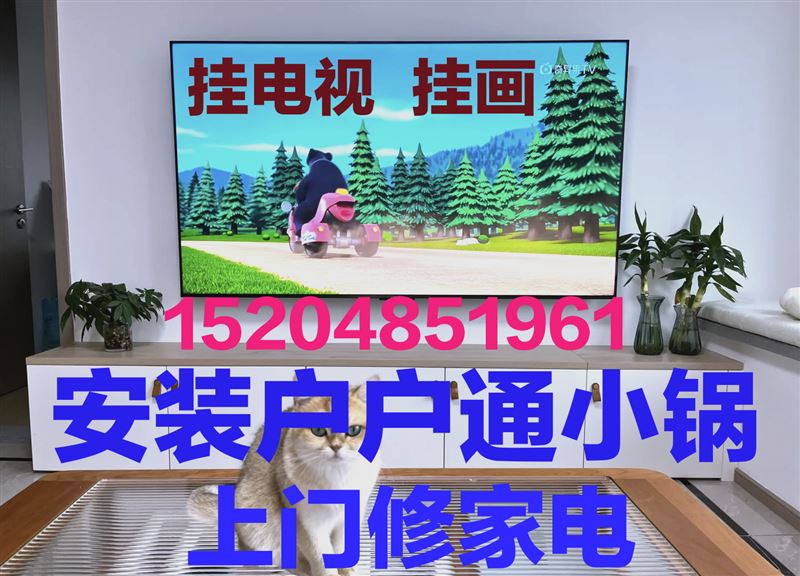 上門修家電，掛電視，掛畫，安小鍋，安熱水器15204851961